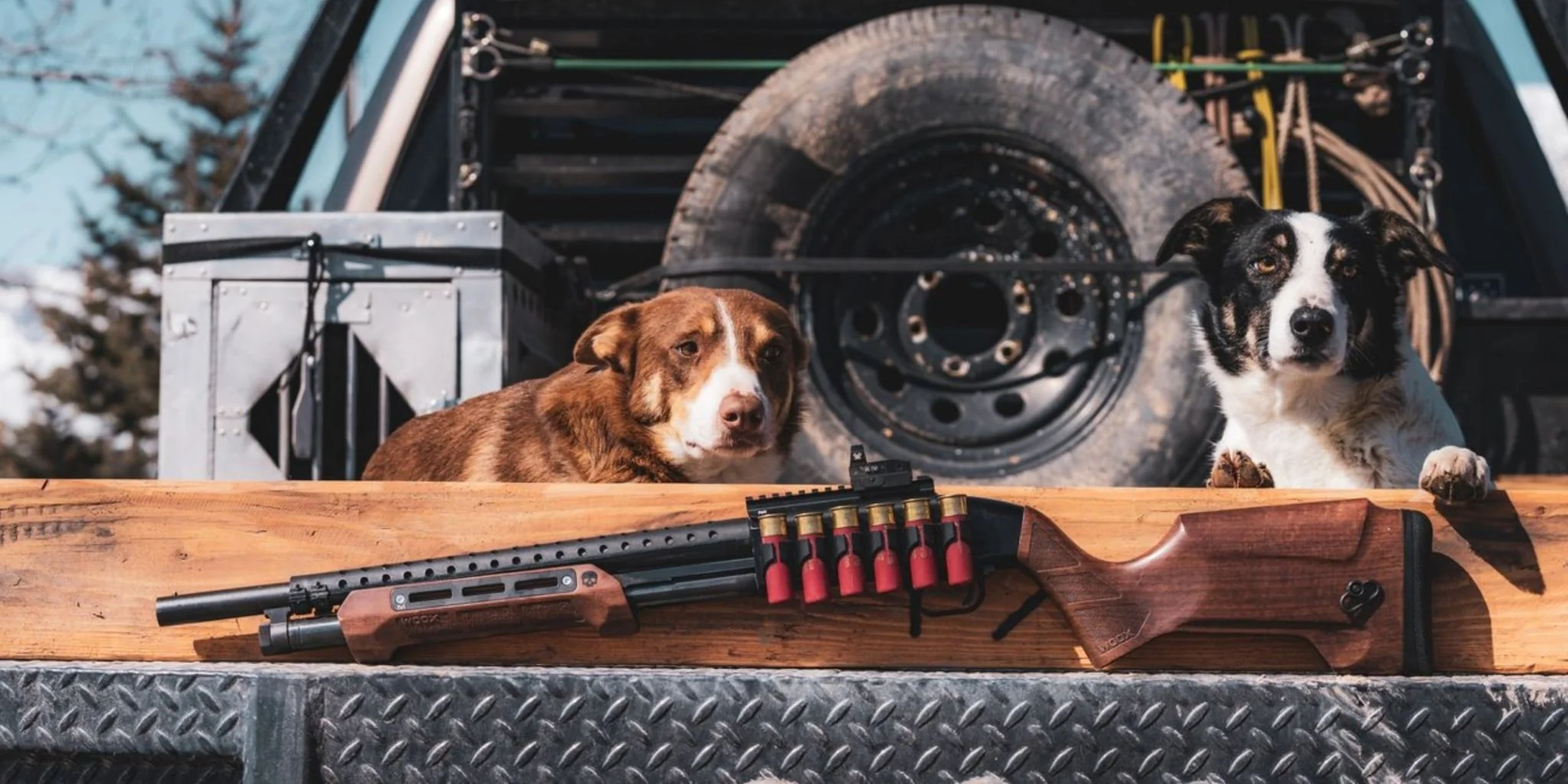 GLADIATORE Stock + Fore End Kit - Image 5