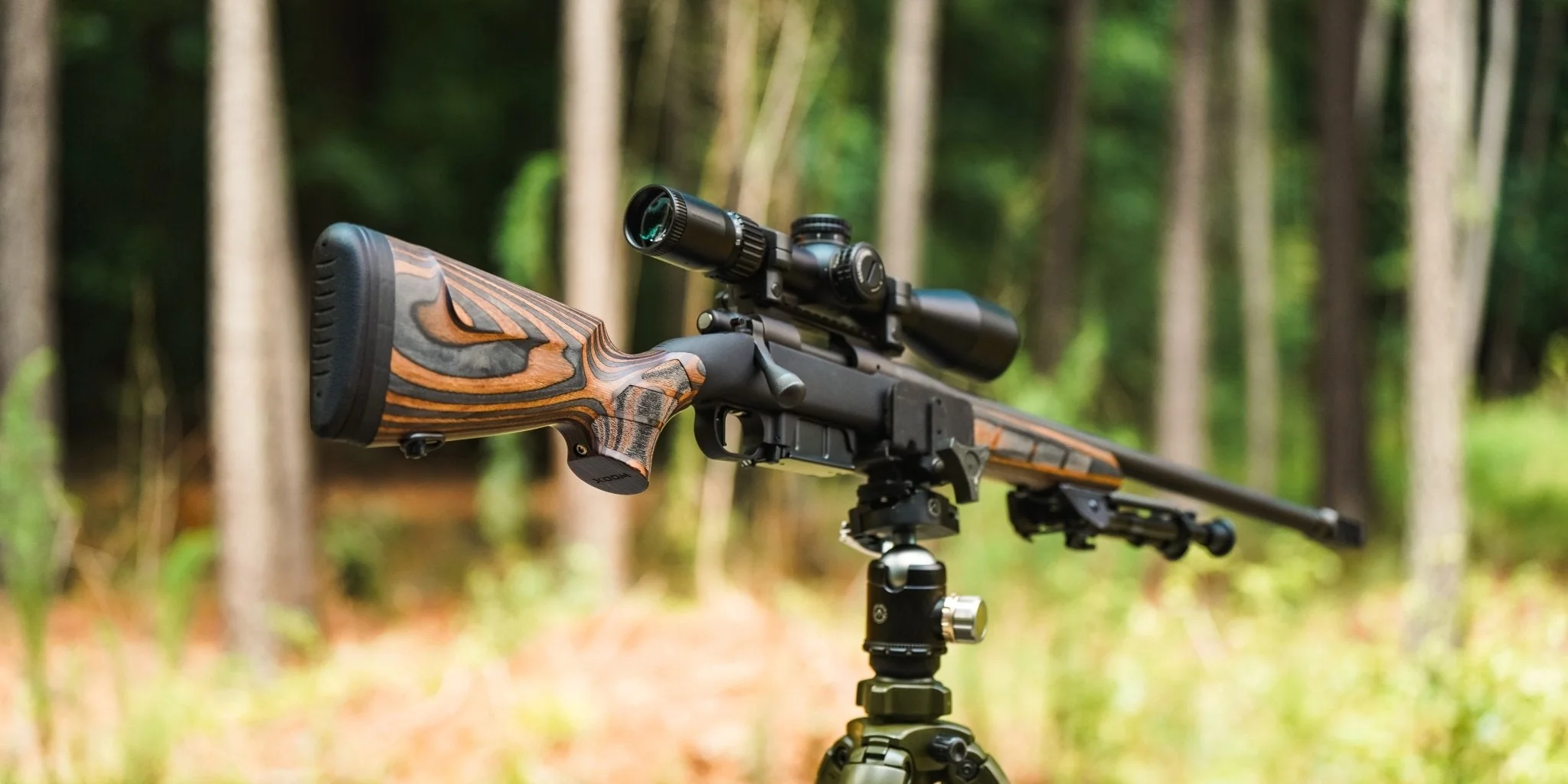 WILD MAN - Precision Stock - Image 14