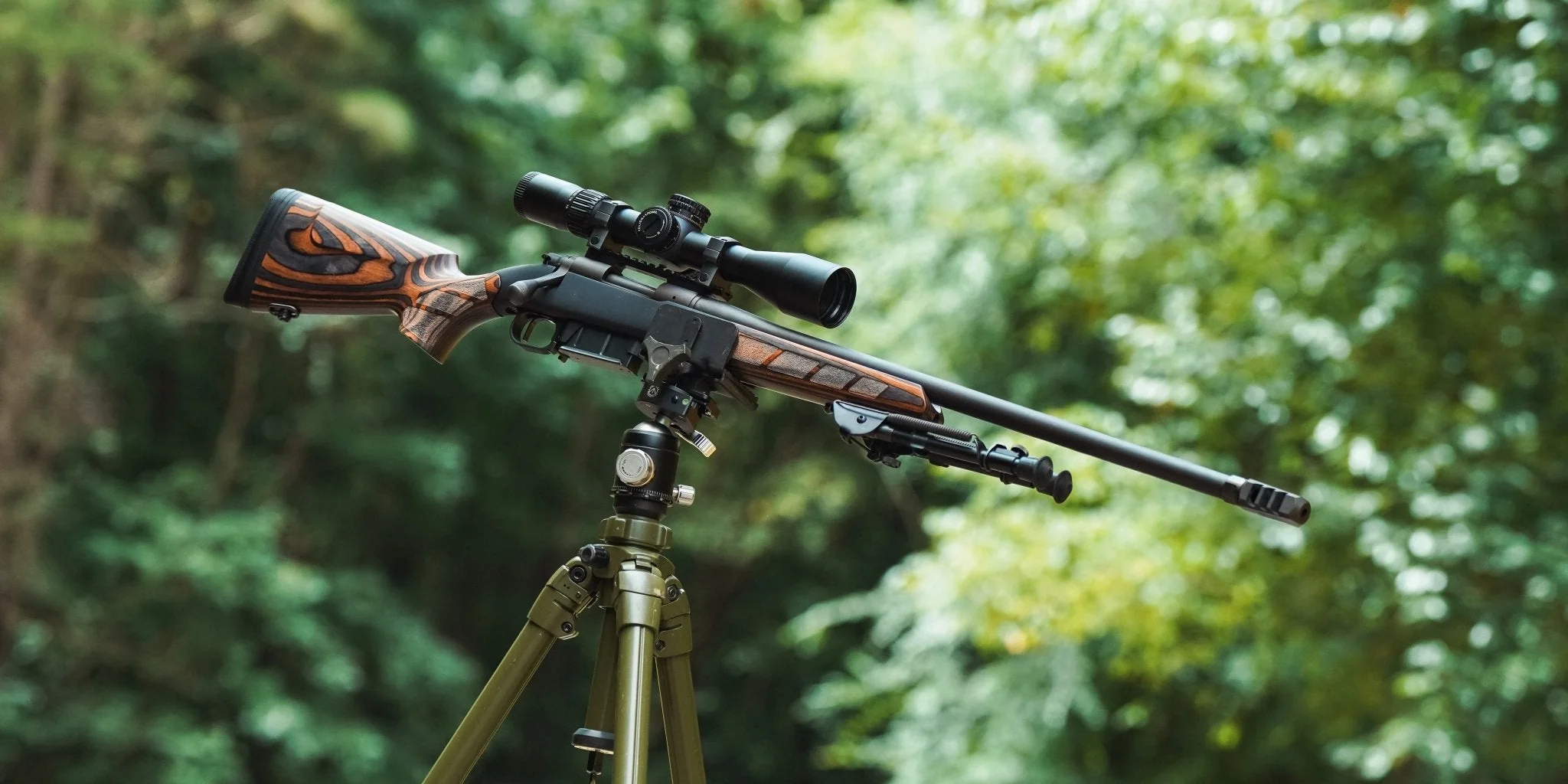 WILD MAN - Precision Stock - Image 15